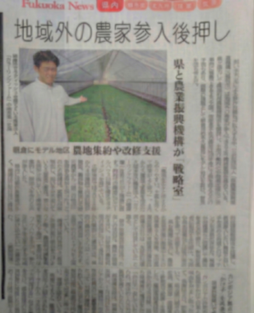 新聞に掲載されました📰 | ラディッシュ、ラディッシュのピクルス 二十